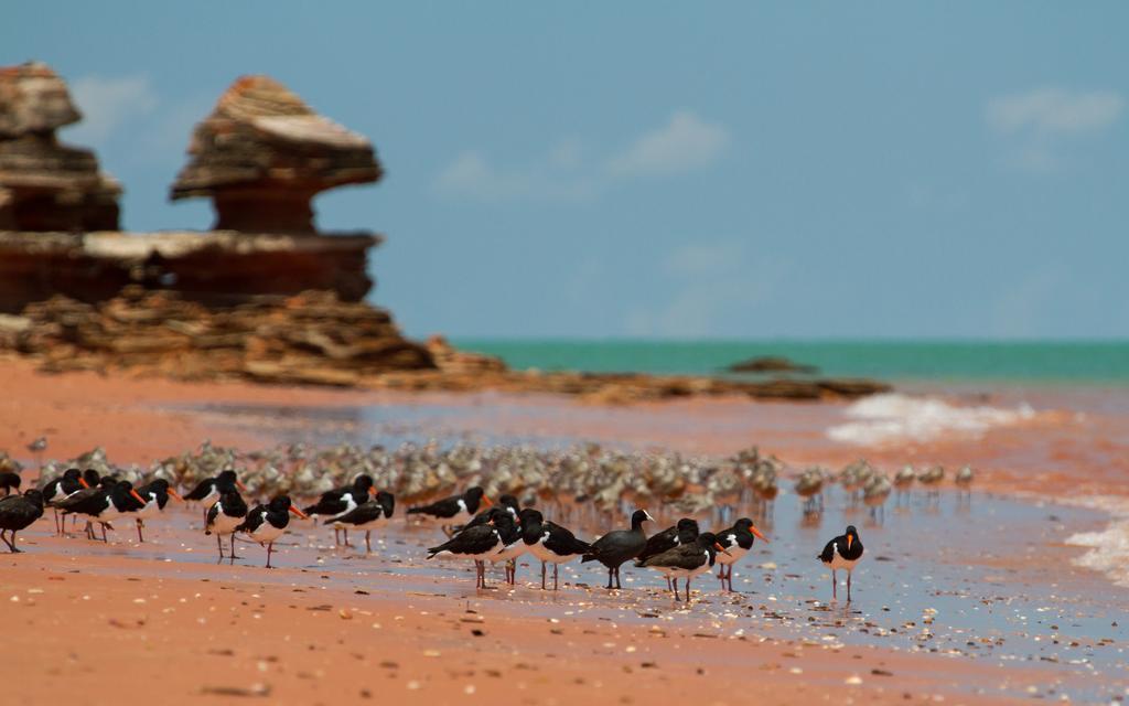 Broome Bird Observatory Exterior foto
